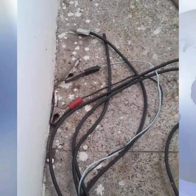 Vizinho da Zoonozes de Barras derruba versão indolor e confirma eletrochoque nos animais